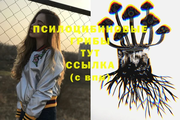 мяу мяу мука Новокубанск