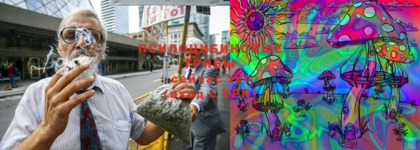 мяу мяу мука Новокубанск