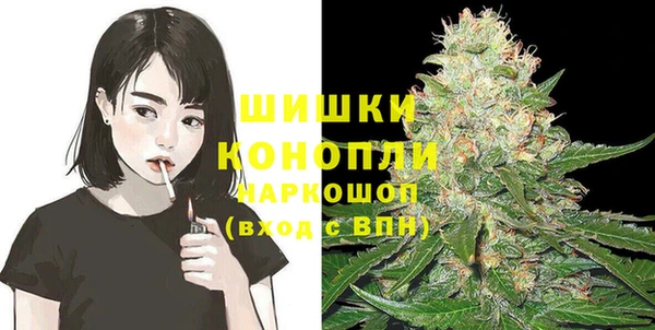 mdpv Новодвинск