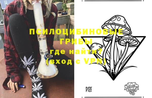 mdpv Новодвинск